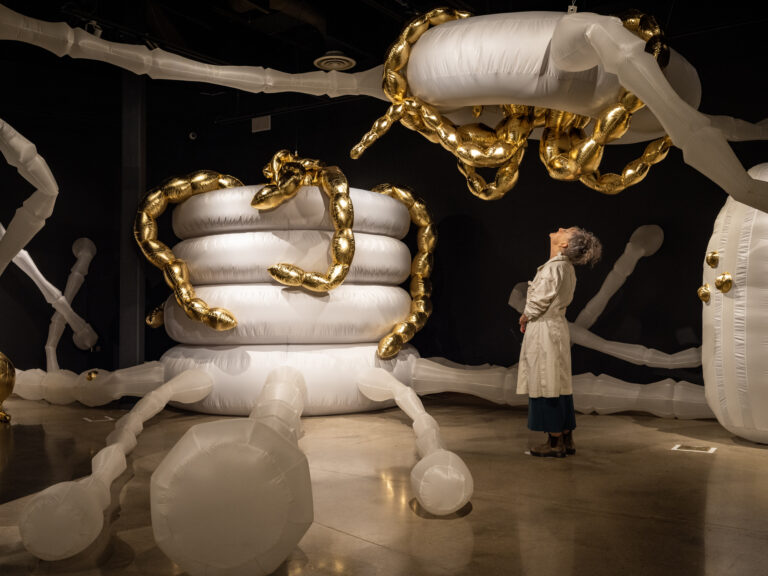 Photo of large art installation in the Longmont Museum's flex gallery space.